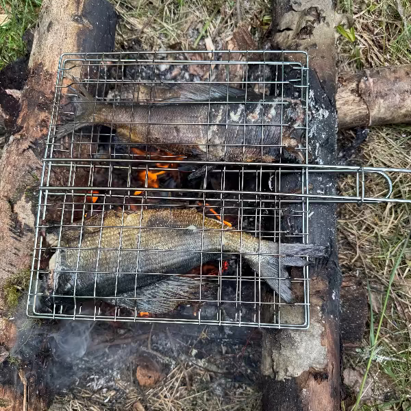 Trout and Grayling Fly Fishing in Finland
