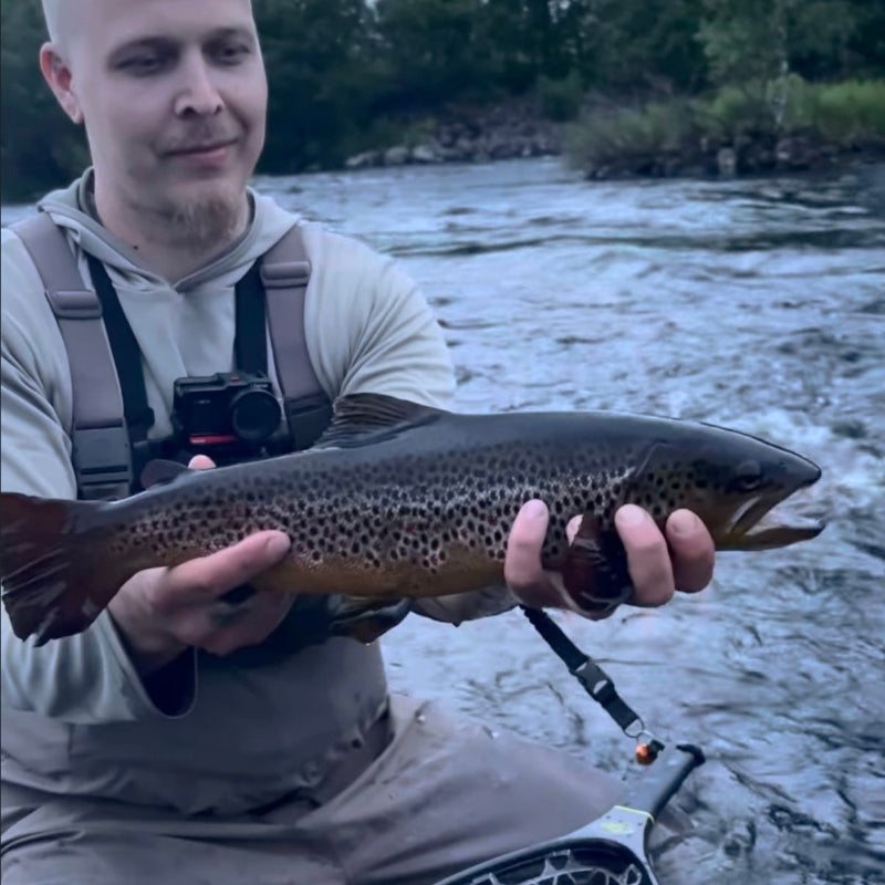 Guide holding a large trout by a river