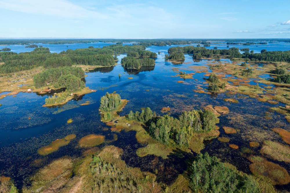 Wetland area with water bodies and greenery under a clear blue sky.