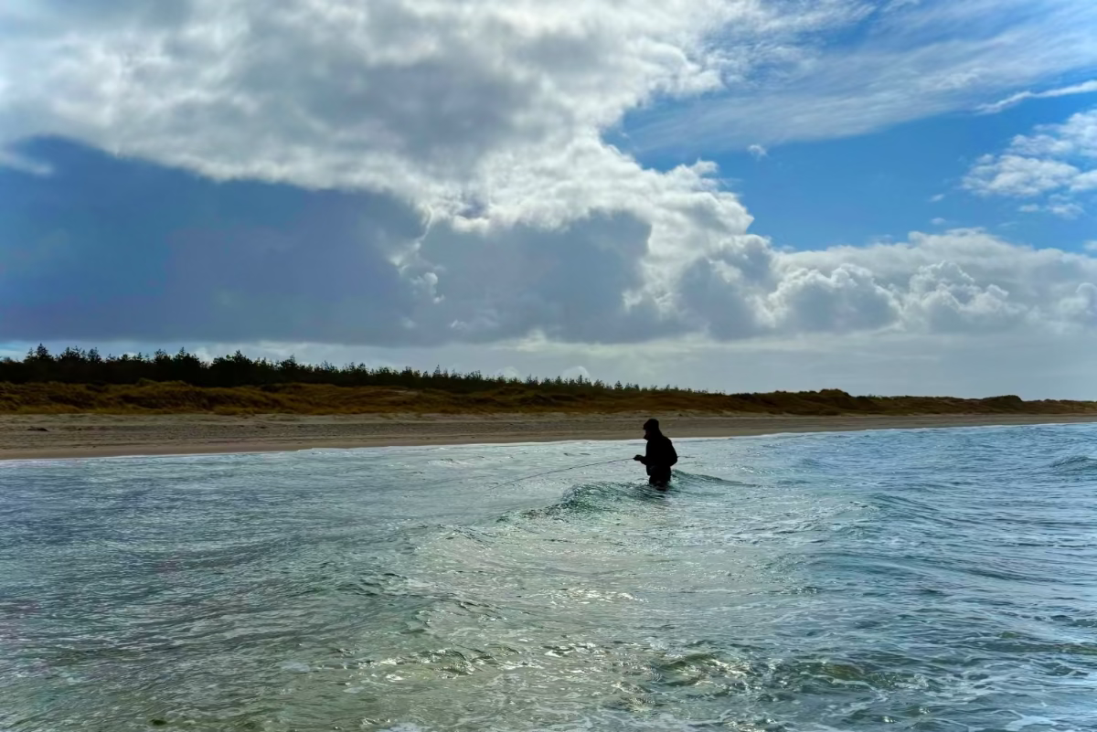 Person fishing in shallow water on a beach with a cloudy sky