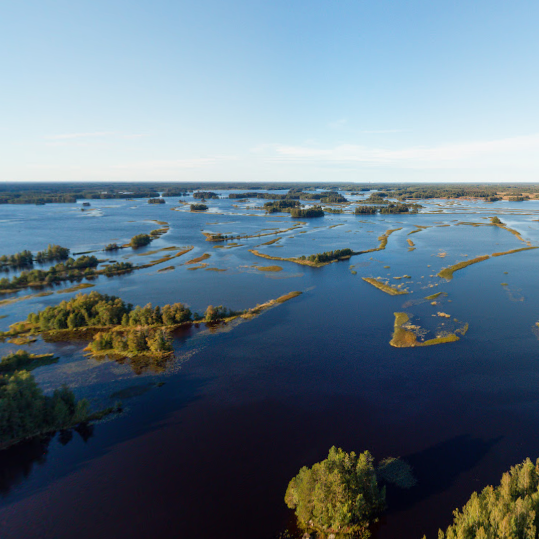 Aerial view of a flooded landscape with trees and water