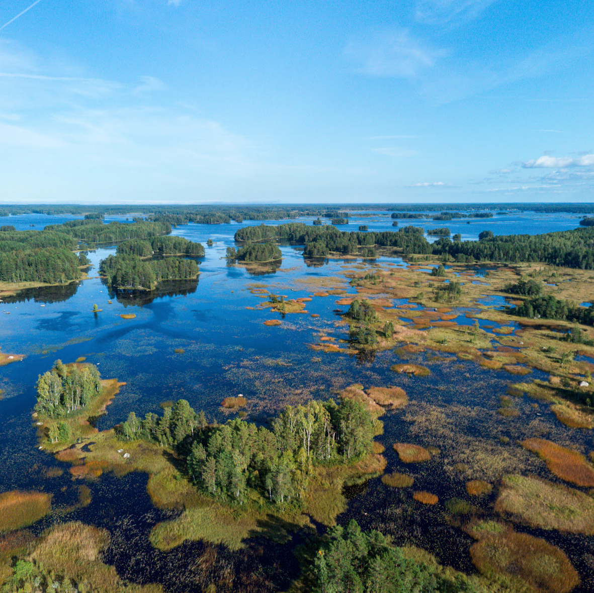 Lakeside landscape with trees and clear blue sky