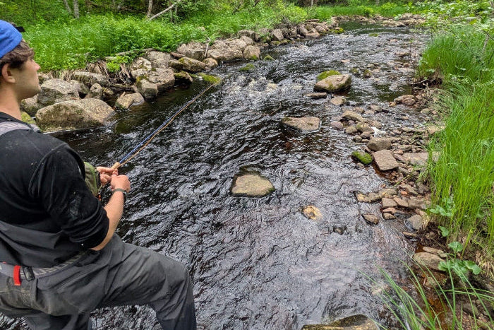 Person fly fishing by a stream in a forested area