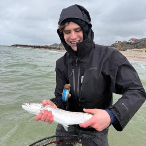 Sea Trout Fly Fishing Guiding in Denmark