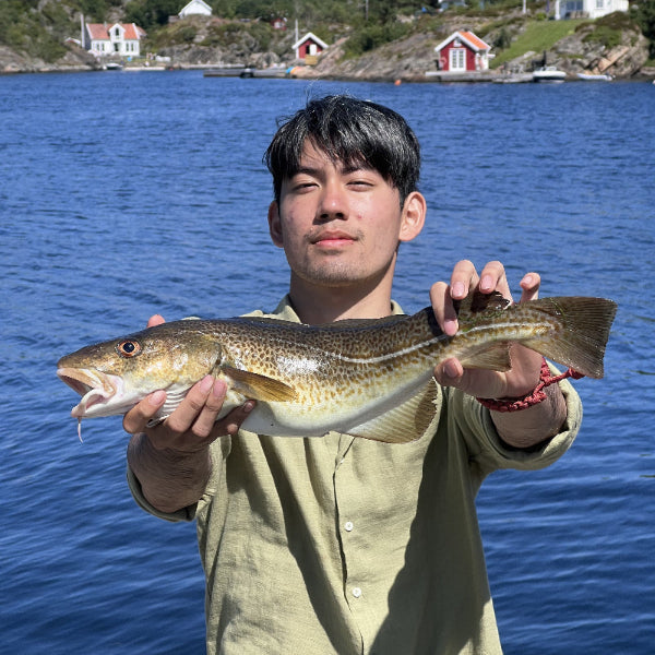 Man holds cod while fly fishing in the archipelago