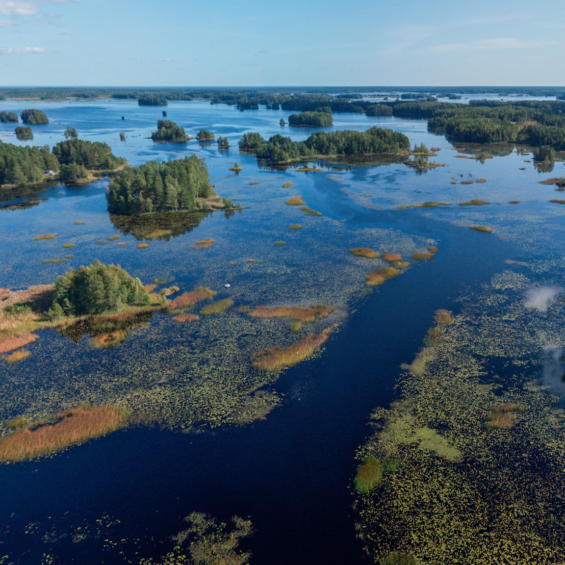 Aerial view of a landscape with lakes, forests, and clear blue sky.