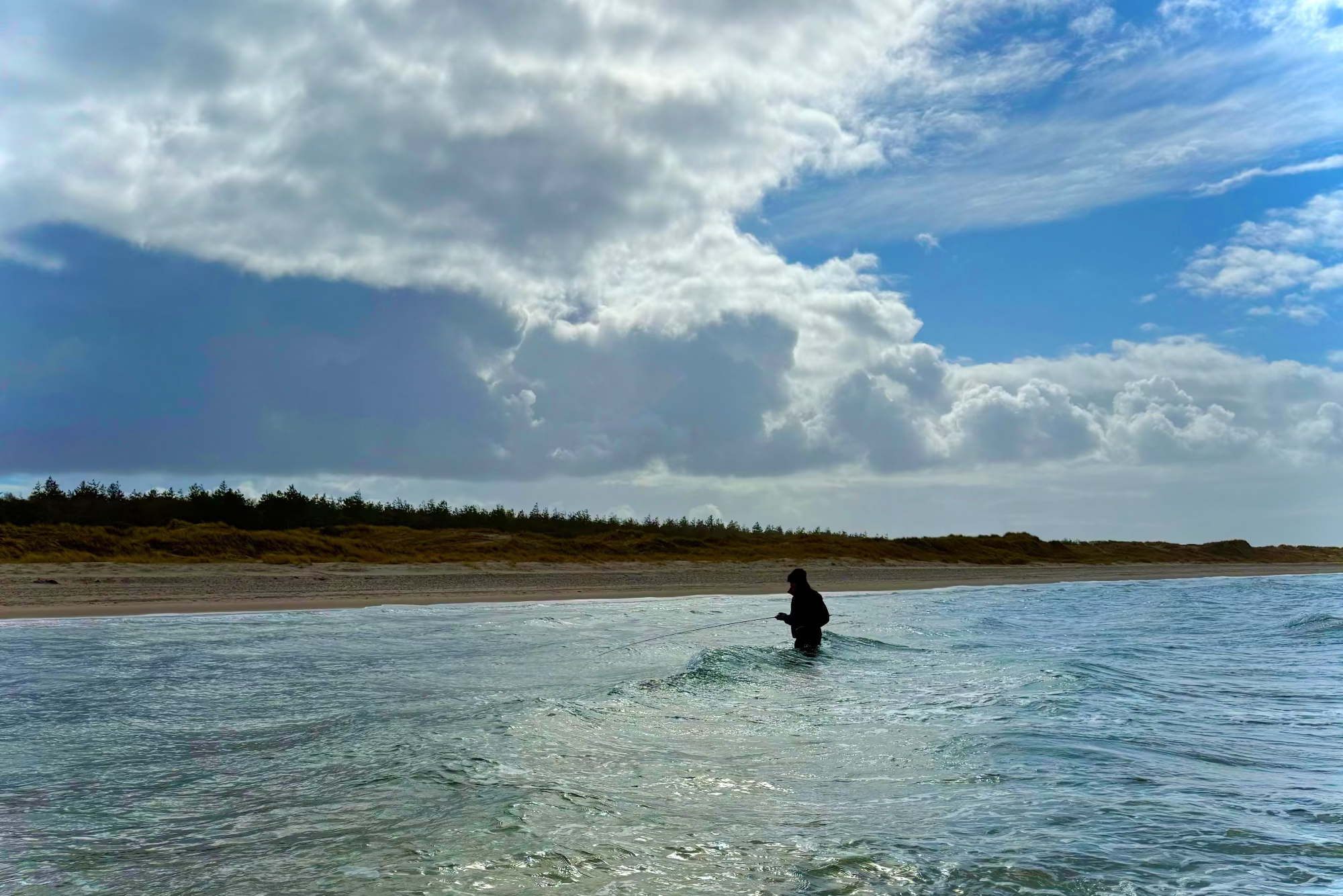 Person fishing in shallow water on a beach with a cloudy sky
