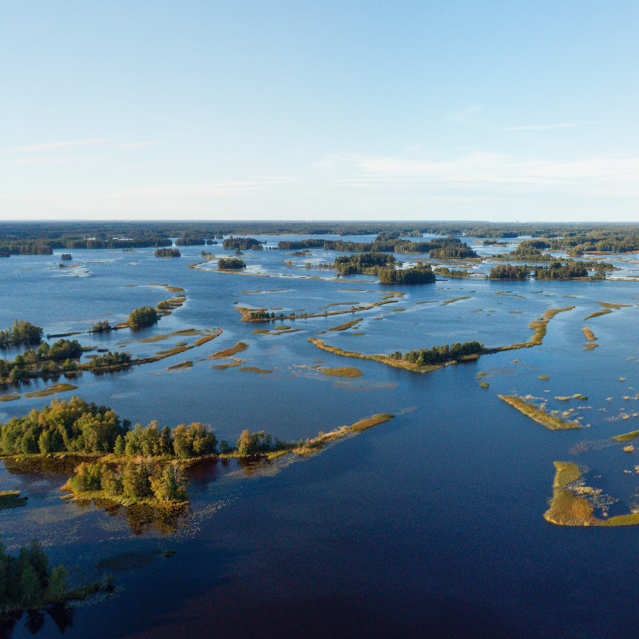 Panoramic view of a flooded landscape with water covering the land, trees, and clear blue sky.